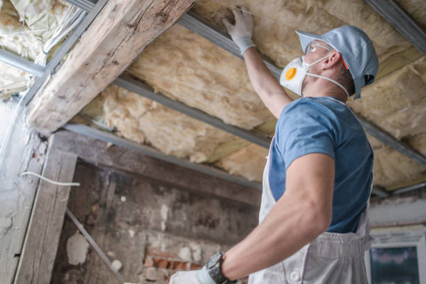 Best Specialty Insulation in Winter Garden, FL