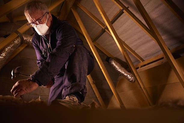 Best Types of Insulation in Winter Garden, FL