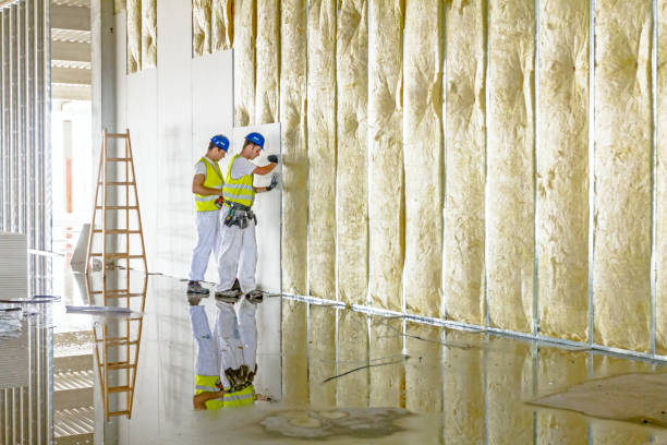 Best Residential Insulation in Winter Garden, FL